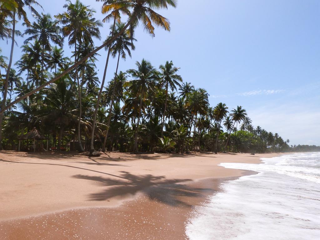 Ankobra Beach Resort Axim Extérieur photo