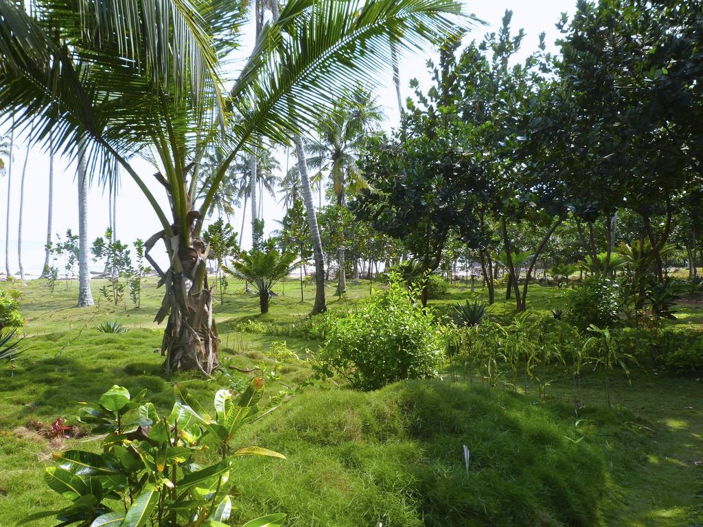 Ankobra Beach Resort Axim Extérieur photo
