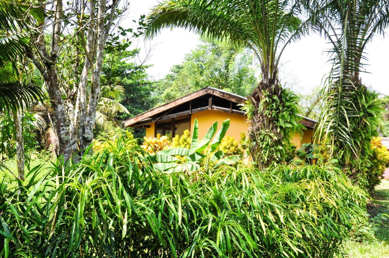 Ankobra Beach Resort Axim Chambre photo